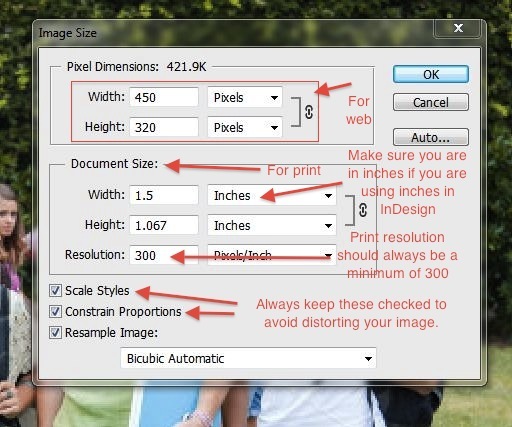 The all-important Image Size dialogue box in Photoshop